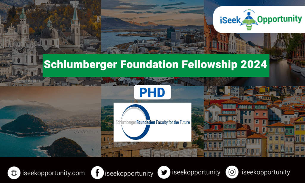 Schlumberger Foundation Fellowship 2024