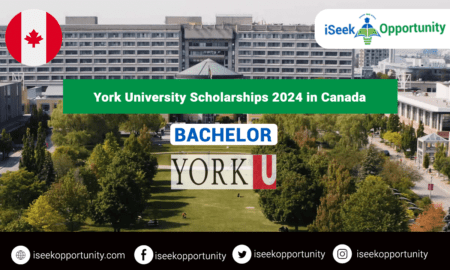 York University Fully Funded Undergraduate Scholarships 2024 in Canada