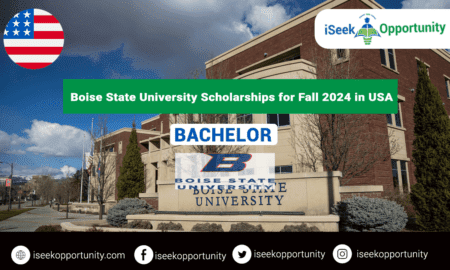 Boise State University Undergraduate Scholarships for Fall 2024 in the USA
