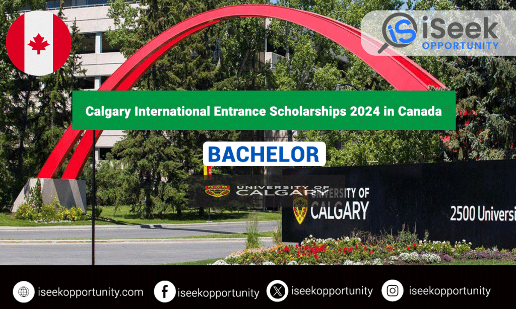 University of Calgary International Entrance Scholarships 2024 in Canada